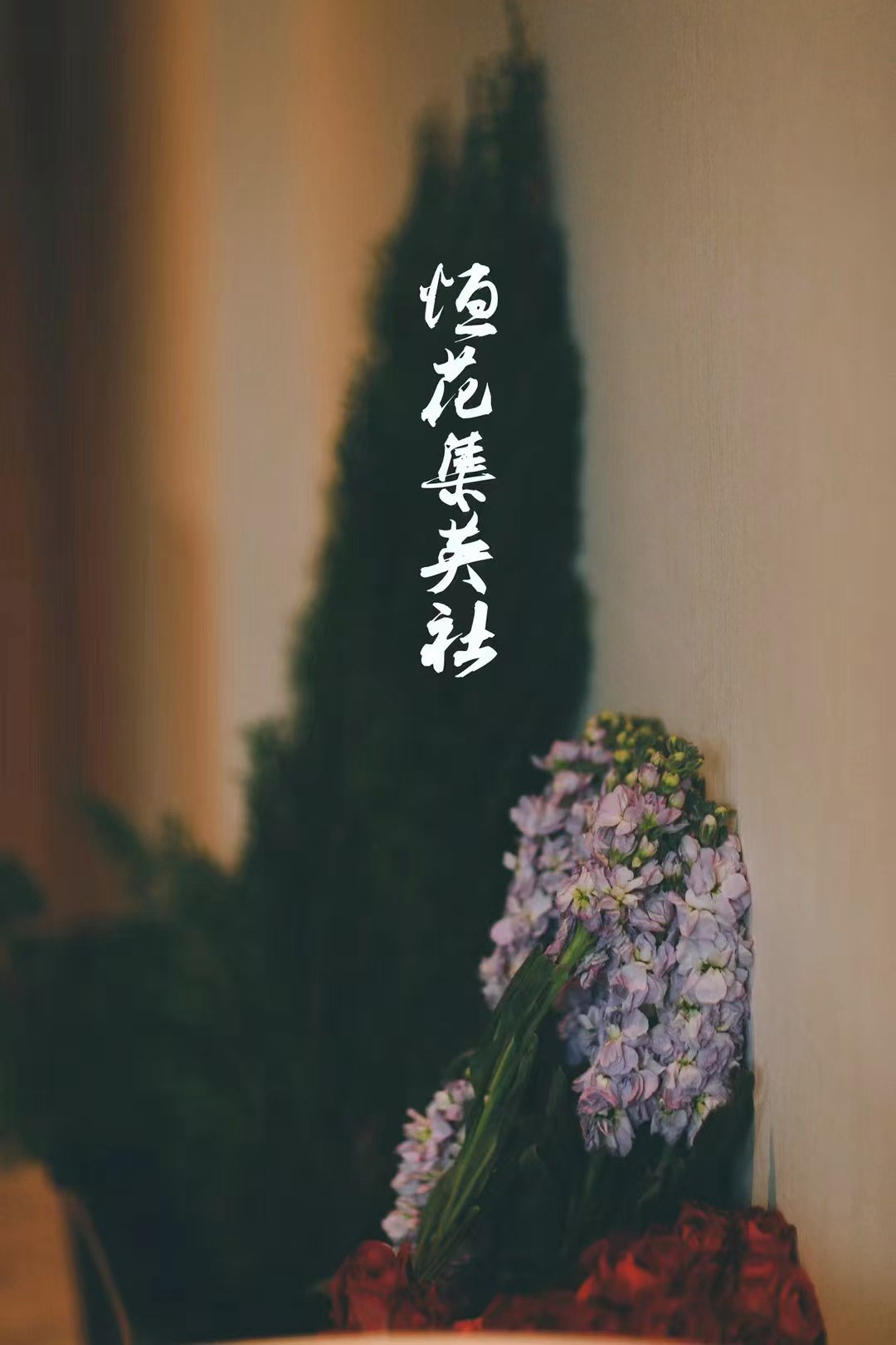 恒花集英时期的历史图像资料
