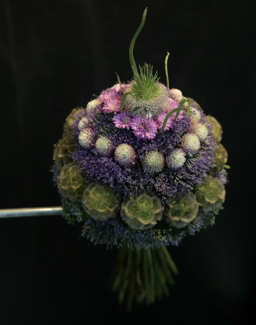 古典环状式植物作品