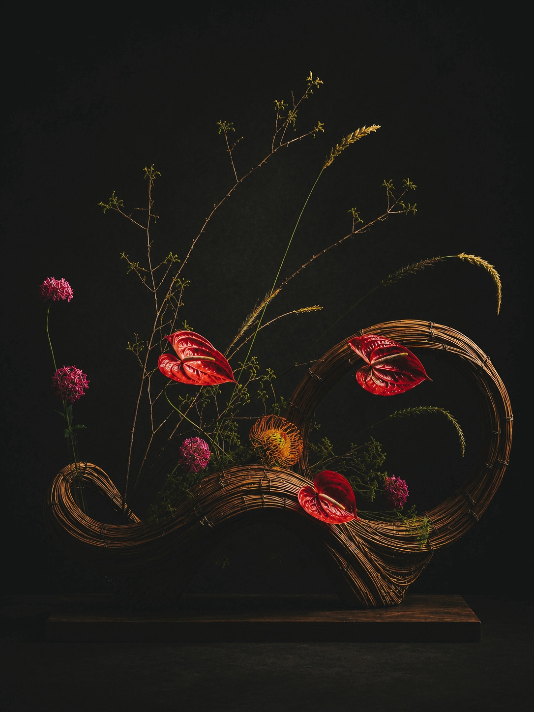 暗调空间中的观象构成植物作品