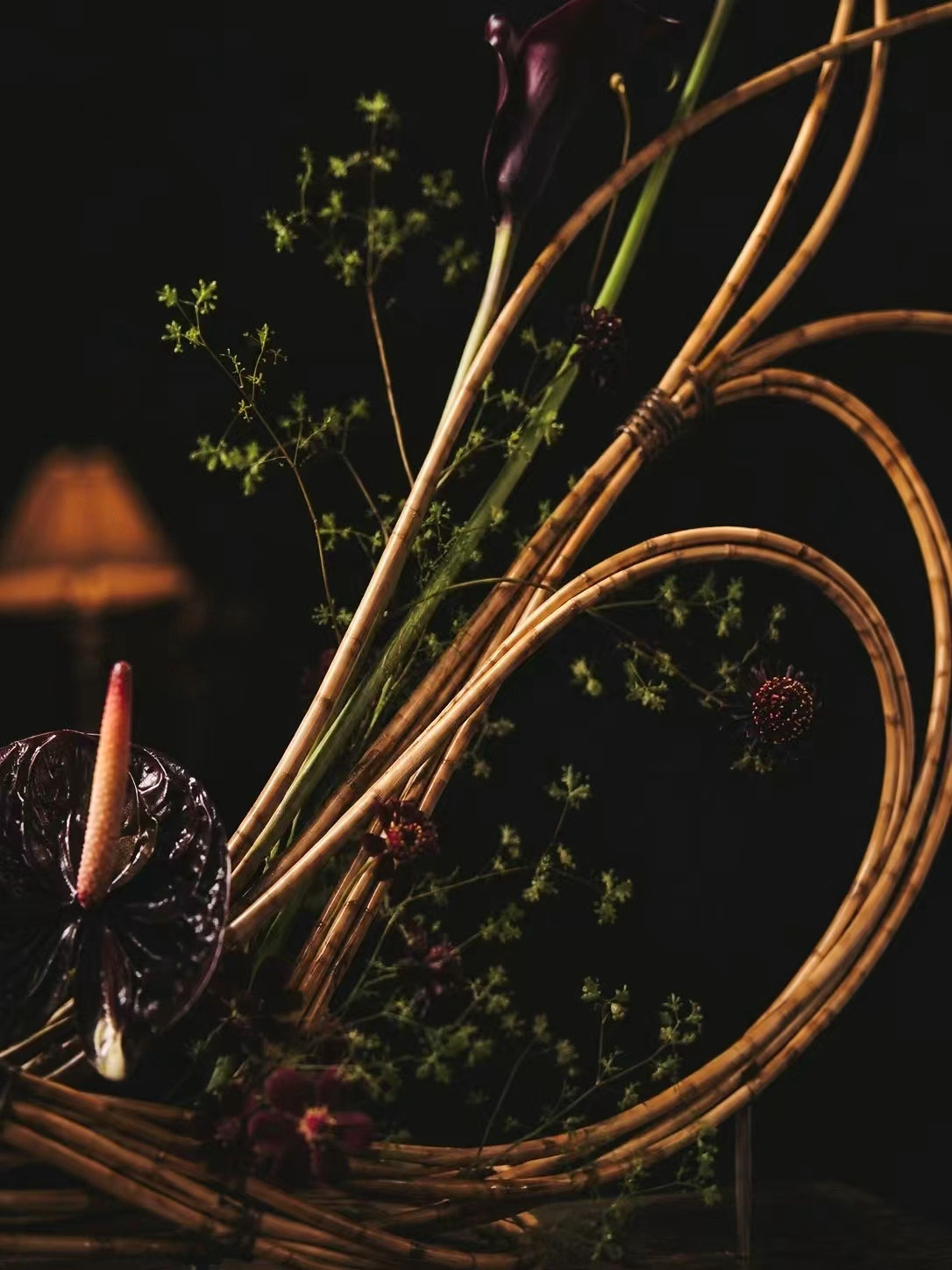 线性植物材料形成的空间关系