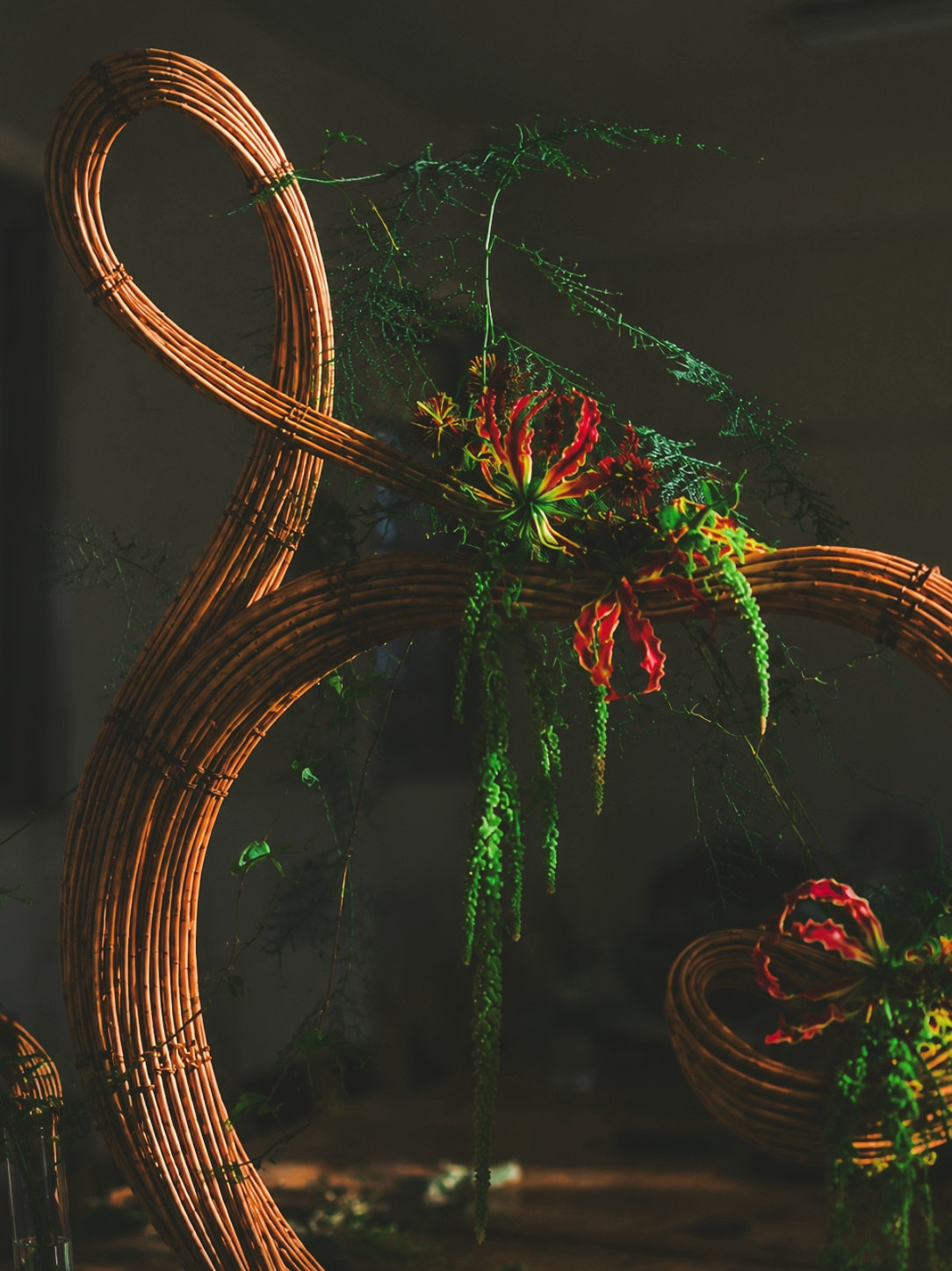 观象构成课程中的植物构成作品