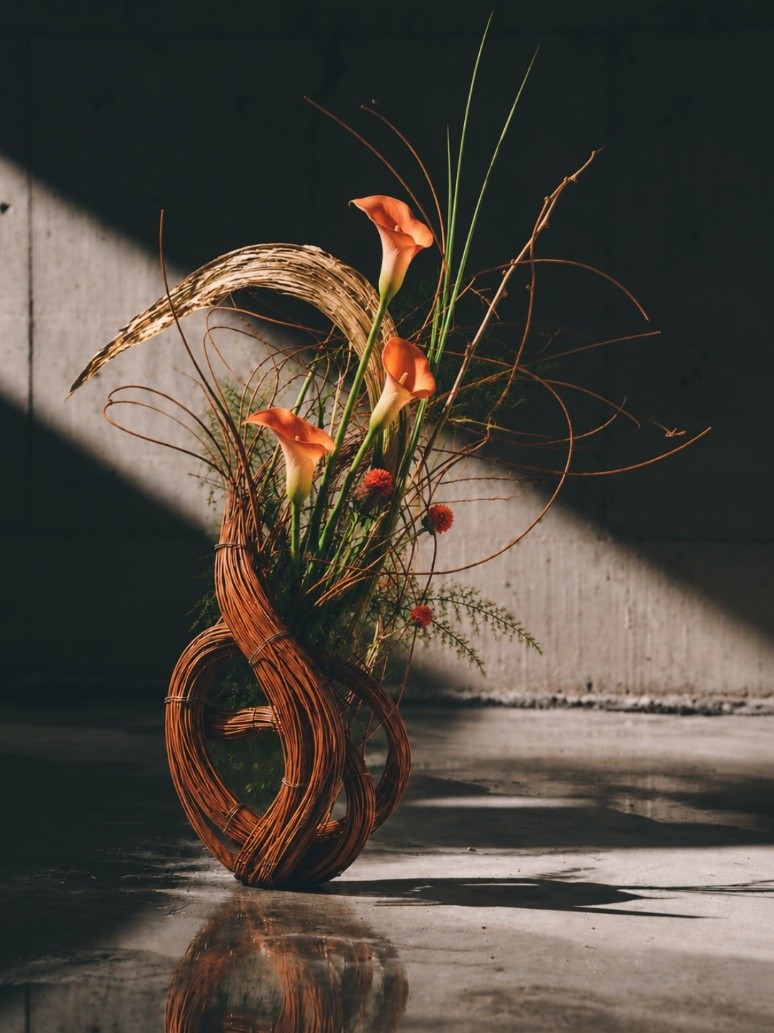 观象构成花艺研究作品